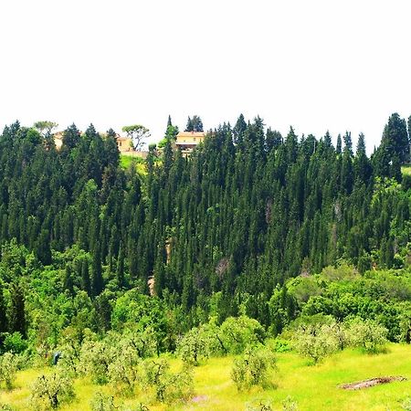 Agriturismo Martignana Alta Έμπολι Εξωτερικό φωτογραφία