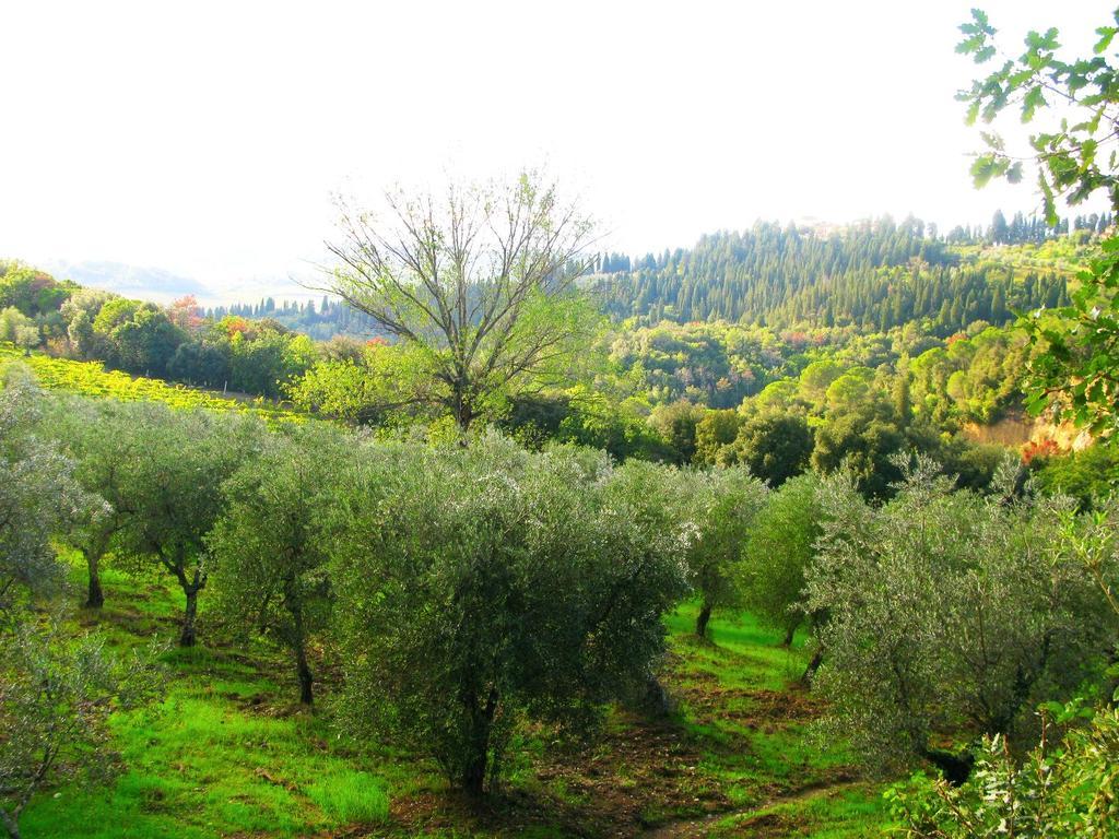 Agriturismo Martignana Alta Έμπολι Εξωτερικό φωτογραφία